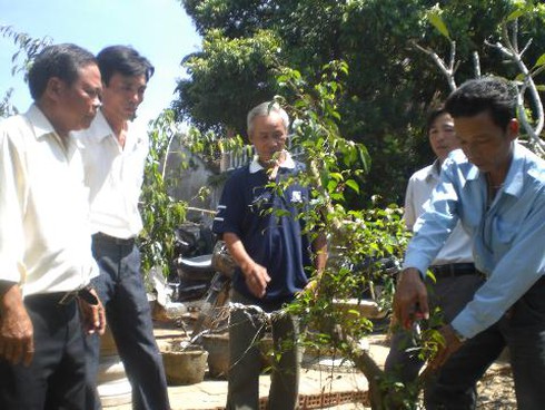 Quảng Ngãi: Tìm thế mạnh của địa phương để đào tạo nghề - ảnh 1