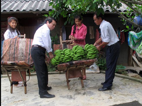 Trồng chuối, dứa: Đầu tư ít, thu lãi cao - ảnh 1