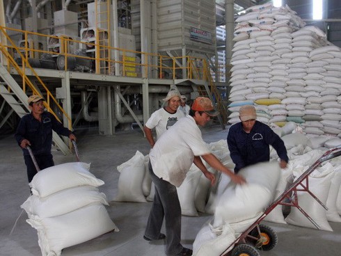 Tháo gỡ khó khăn cho hoạt động sản xuất và tiêu thụ lúa gạo - ảnh 1