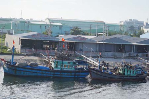 Quảng Nam miễn giảm thuế hỗ trợ ngư dân theo Nghị định 67 - ảnh 1