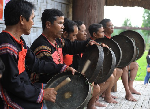 Độc đáo lễ rước cây nêu cầu an của người Ê Đê - ảnh 3
