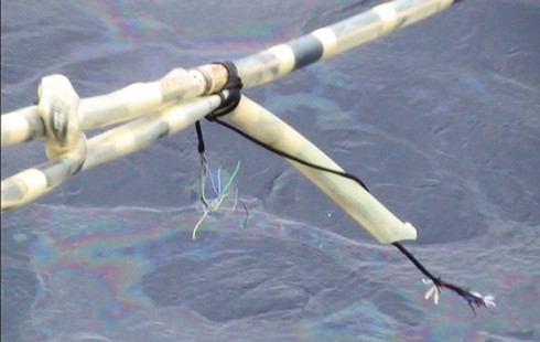 Biển Đông: Toan tính ỷ đông hiếp yếu của Trung Quốc - ảnh 1