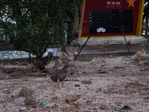 Đảo Sơn Ca trong thế kiềng 3 chân trên Biển Đông - ảnh 5