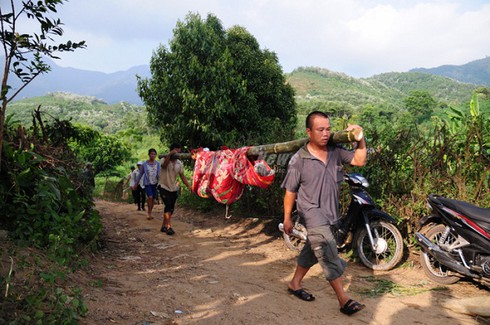Xã hội càng phát triển, tính tàn độc, sự tinh vi của tội phạm càng cao hơn - ảnh 1