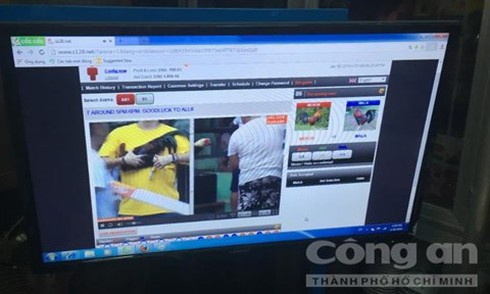 Lần đầu tiên bắt quả tang 20 đối tượng đá gà ăn tiền qua mạng internet - ảnh 1