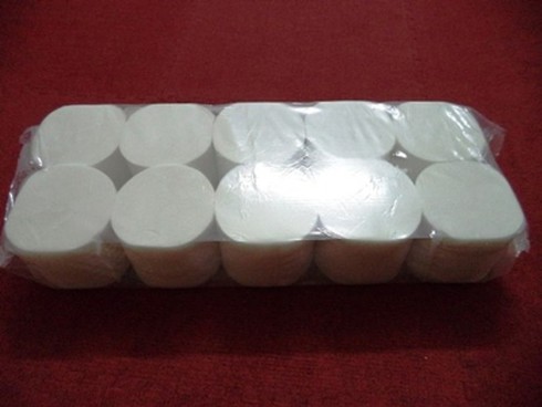 Kinh tế khó khăn, doanh nghiệp thưởng Tết bằng giấy vệ sinh - ảnh 1