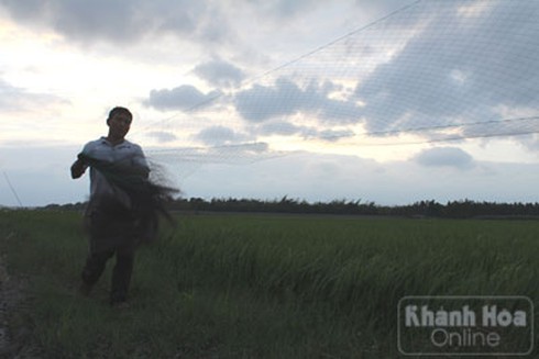 Tận diệt chim trời - ảnh 2