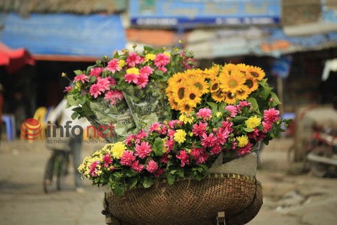 Hà Nội: Đào, hoa ra phố ngày Rằm tháng Chạp - ảnh 12