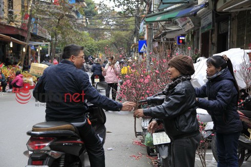 Hà Nội: Đào, hoa ra phố ngày Rằm tháng Chạp - ảnh 8