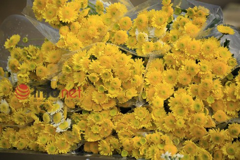 Hà Nội: Đào, hoa ra phố ngày Rằm tháng Chạp - ảnh 10