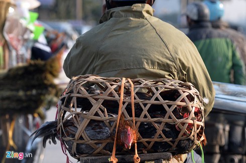 Đường phố Hà Nội kẹt cứng ngày cận Tết - ảnh 5