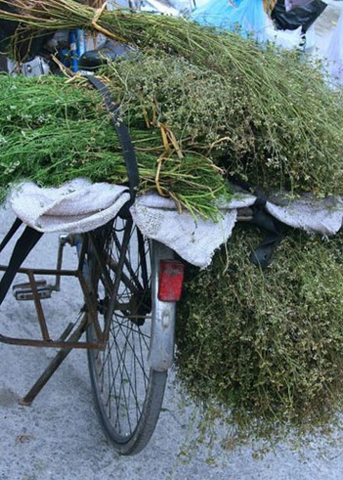 Chiều 30 Tết, nhớ sao hương nước mùi già - ảnh 2