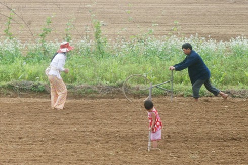 Hạnh phúc là bằng lòng với những gì mình có - ảnh 1