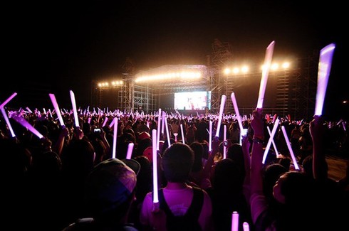 Xem lại đêm HEC Korea Festival 2014 qua ảnh - ảnh 1