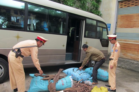 Phát hiện xe ô tô khách vận chuyển 150kg gỗ huê trị giá tiền tỷ - ảnh 1