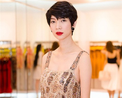 Top sao Việt 'đanh đá' nhất làng giải trí Việt - ảnh 8