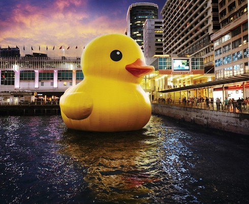 Con vịt cao su lớn nhất thế giới đến Việt Nam - ảnh 1