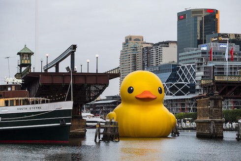 Con vịt cao su lớn nhất thế giới đến Việt Nam - ảnh 3