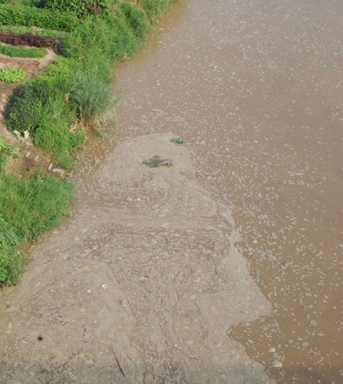 Lào Cai: Bọt lạ lại nổi trắng mặt sông Hồng - ảnh 1