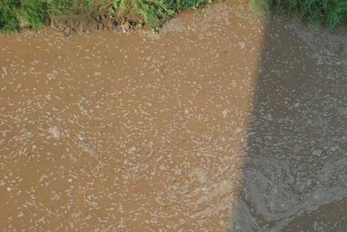 Lào Cai: Bọt lạ lại nổi trắng mặt sông Hồng - ảnh 2