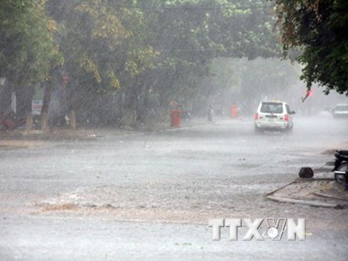 Nghe điện thoại di động lúc mưa giông, 7 người bị sét đánh - ảnh 1