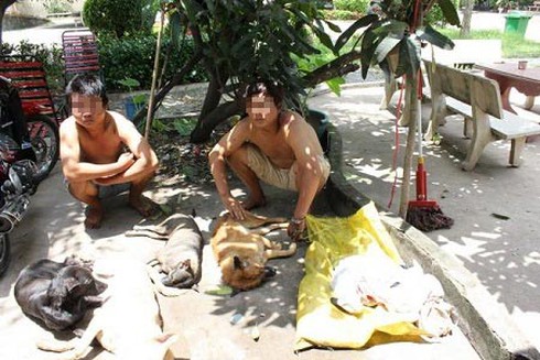 Bị dân vây bắt, hai cẩu tặc lĩnh án 21 tháng tù giam - ảnh 1