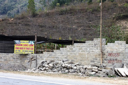 Hoang lạnh nhà tắm “lão trư” - ảnh 1