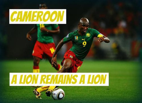 World Cup 2014 - Những khẩu hiệu thú vị - ảnh 2