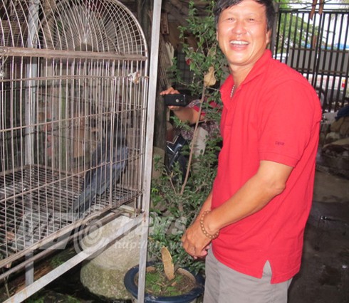 Chuyện lạ Việt Nam: Những con quạ ‘thành tinh’ biết nói tiếng người - ảnh 1