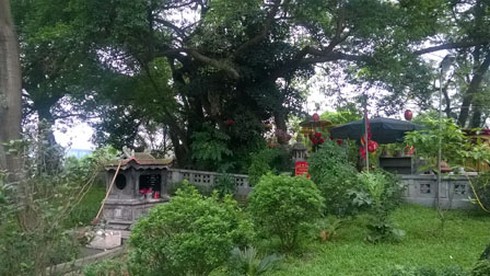 Đền ‘vua quan giải hạn’ trong khuôn viên Trung tâm hội nghị quốc gia - ảnh 2