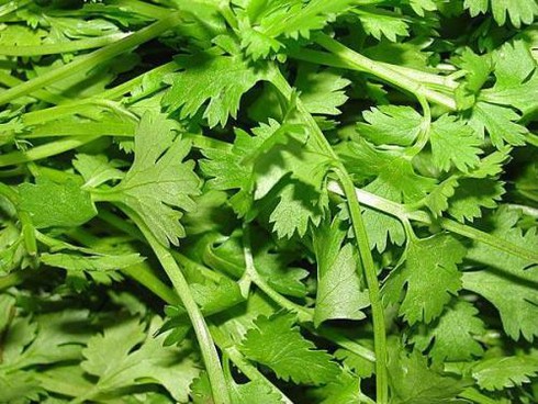 Cách chữa chứng đầy bụng, khó tiêu ở trẻ theo dân gian - ảnh 1