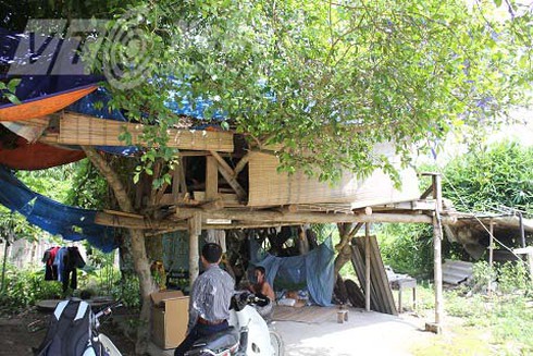 Gặp lão dị nhân buồn đời, làm nhà lên cây ở - ảnh 1
