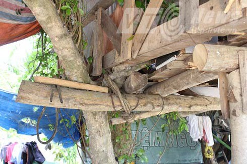 Gặp lão dị nhân buồn đời, làm nhà lên cây ở - ảnh 2