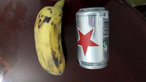 Hà Nội: Phát hiện quả chuối 'khủng', to ngang... lon bia - ảnh 4