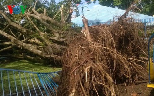 Cơn lốc kỳ lạ