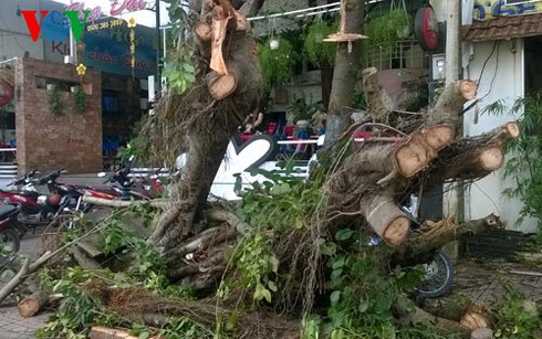 Cơn lốc kỳ lạ