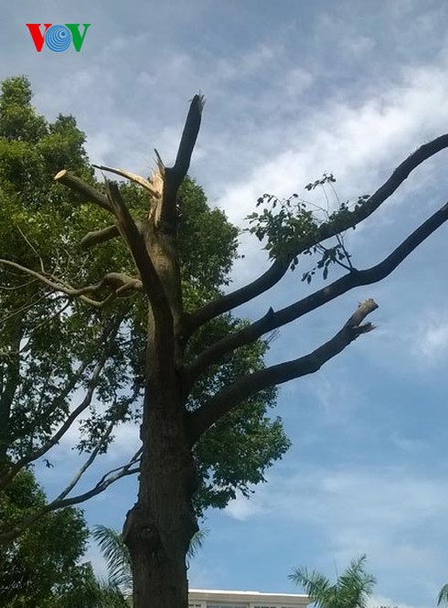 Cơn lốc kỳ lạ