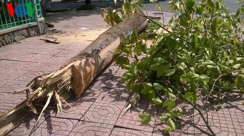 Cơn lốc kỳ lạ