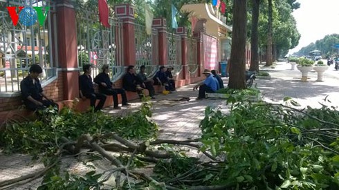 Cơn lốc kỳ lạ