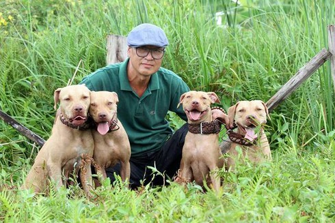 Thú vui đi săn giữa... phố - ảnh 1