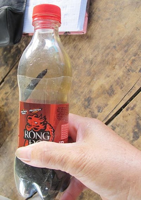 Náo loạn vì 'gốc cây trị bá bệnh' - ảnh 2