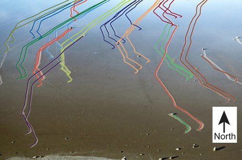 Giải mã bí ẩn về các hòn đá