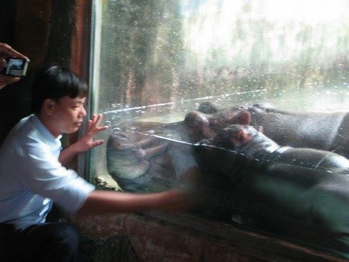 Điểm mặt các đại gia Việt nuôi thú dữ làm oai - ảnh 3