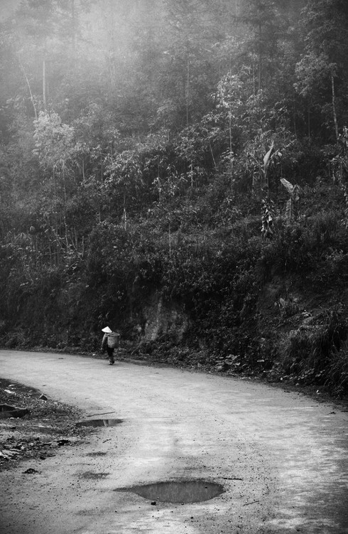 Việt Nam rất đẹp trong mắt bạn Tây - ảnh 15