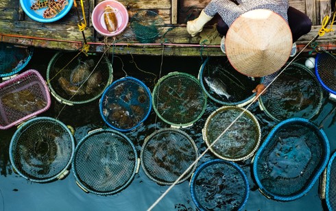 Việt Nam rất đẹp trong mắt bạn Tây - ảnh 25