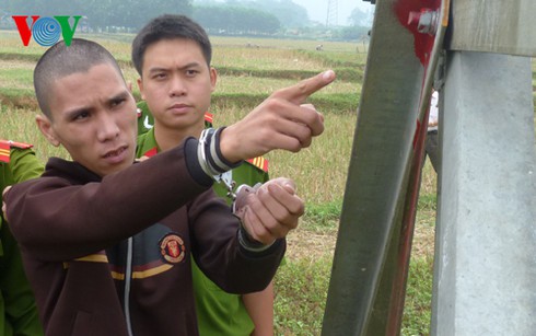 Bắt quả tang kẻ tháo trộm giằng kim loại cột điện cao thế - ảnh 1