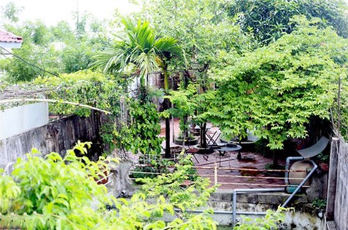 Cơ ngơi khác người của danh hài Chí Trung, Giang Còi - ảnh 7