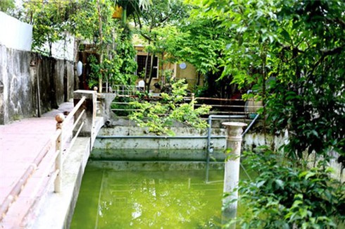 Cơ ngơi khác người của danh hài Chí Trung, Giang Còi - ảnh 9
