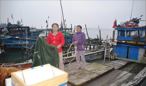 Đàn bà bám biển - ảnh 1