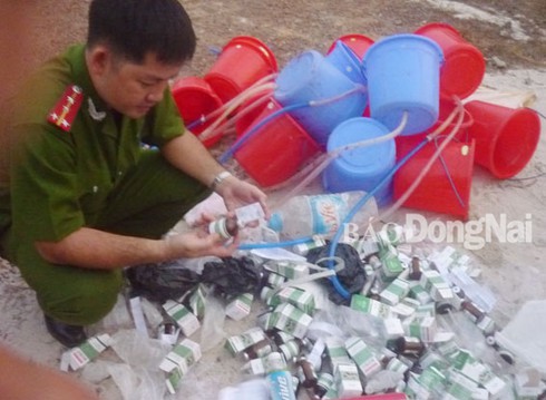 Lại phát hiện heo bị bơm nước ở Đồng Nai - ảnh 2